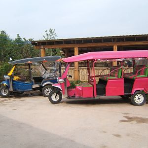 Tuc tucs with nobody on them