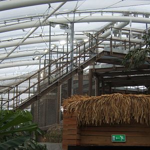 View of stairs for keepers to do roof top scatter feeds for the Sumatran Or