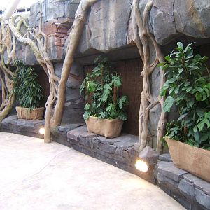 View of future Herp exhibits