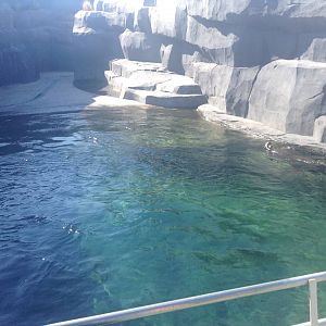 Sea Lion Enclosure - Paris Zoo