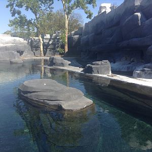 Penguin Enclosure - Paris Zoo