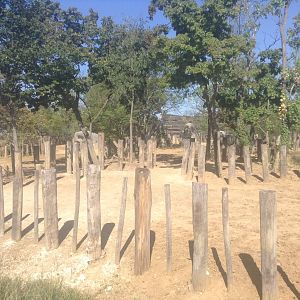 Rhino & Zebra Enclosure Pt 1