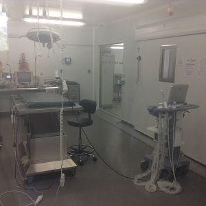 Vet Clinic - Paris Zoo