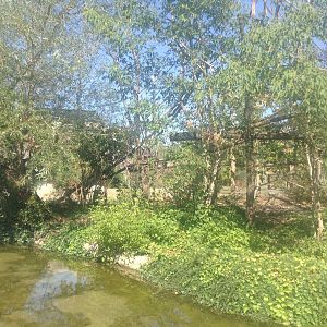Lemur Island - Paris Zoo.