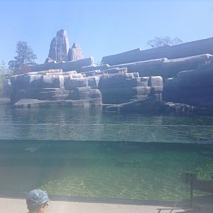 Sea Lion Enclosure - Paris Zoo.