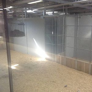 Giraffe House - Paris Zoo