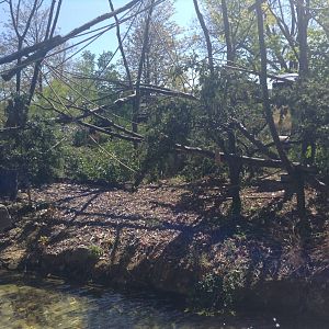 Capuchin Enclosure - Paris Zoo