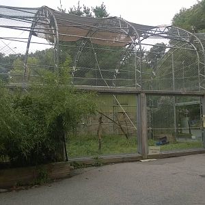 Treetops and Riverbeds