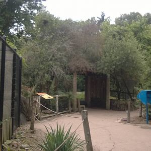 Treasures of the Sierra Madre