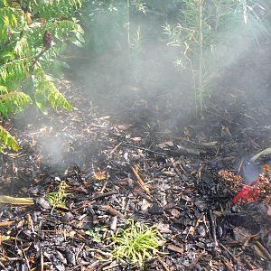 Islands- Unnecessary Mist