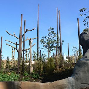 Islands- Future Macaque Enclosure