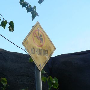 Islands- Sign