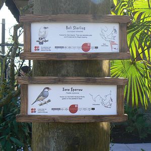 Islands- Signage