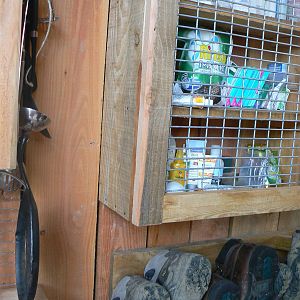 Islands- Decorations