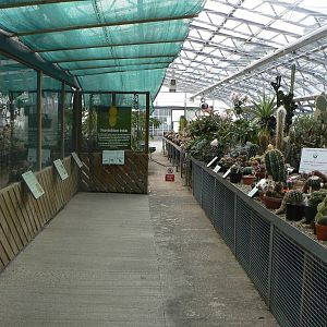 Grow Zone- View Of Green House