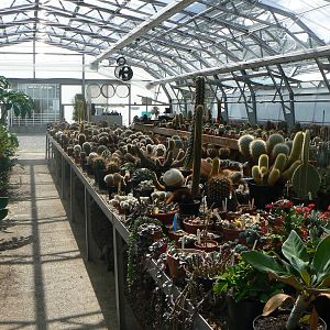 Grow Zone- View Of Green House