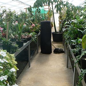 Grow Zone- View Of Green House