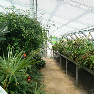 Grow Zone- View Of Green House