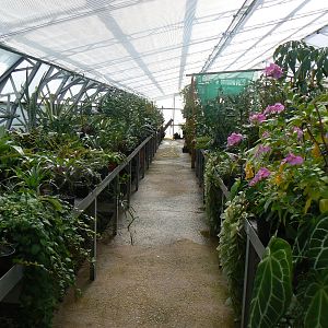 Grow Zone- View Of Green House