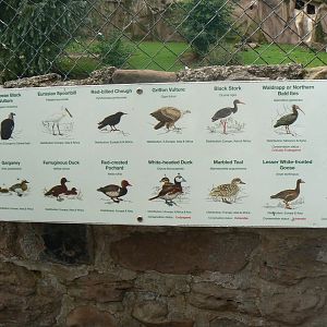 Europe On The Edge Signage