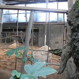 Elephant House Interior