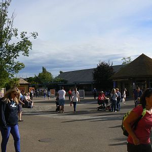 Zoo Entrance At Closing Time