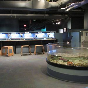 Ocean's Heartbeat Gallery (with row of microscopes)