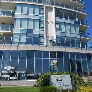 Aquarium (at the bottom of an apartment complex!)