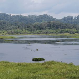 Crocodile Lake, Cat Tien National Park