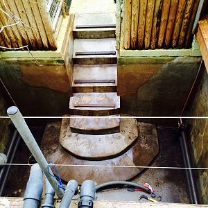 Empty center Pygmy Hippo pool