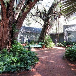 South American Aviaries
