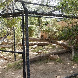 8/8/2015 - Cougar Habitat