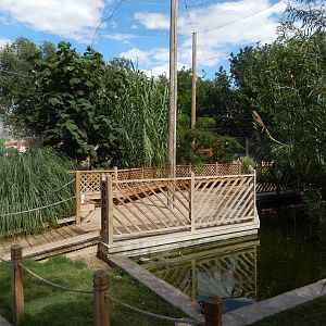 8/8/2015 - Walk-Through Aviary