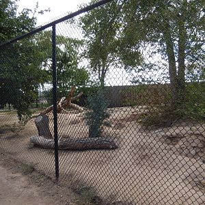 8/8/2015 - Coyote Habitat