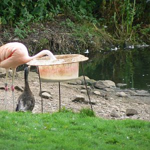 What Are You Looking At?