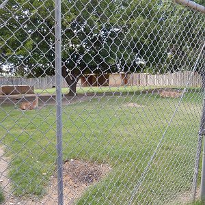 8/8/2015 - Rhea/Guanaco Exhibit