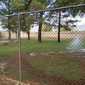8/8/2015 - Mexican Gray Wolf Habitat