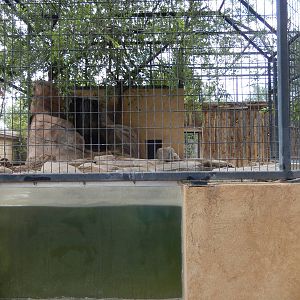 8/8/2015 - River Otter Exhibit