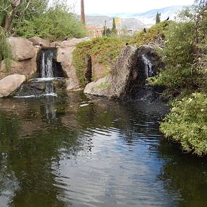 8/8/2015 - Pool and Waterfalls