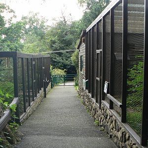 View Of Aviaries