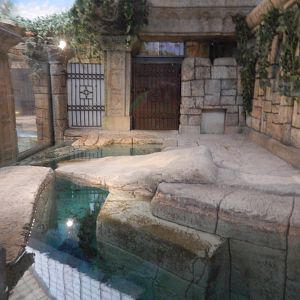 8/13/2015 - Golden Crocodile Exhibit