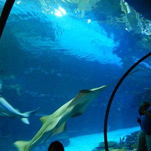 8/13/2015 - Shipwreck - Underwater Tunnel