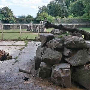 Mishmi Takin Enclosure