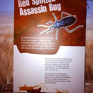 Signage, Bug World, Liverpool 2010