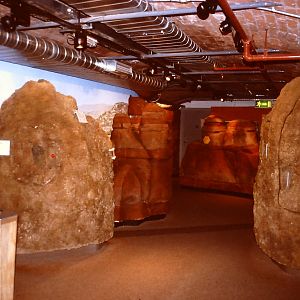 model termite mound, Bug World, Liverpool 2010