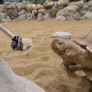 Taking pic with selfie stick