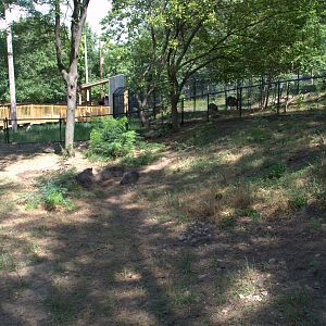 Chacoan Peccary Enclosure