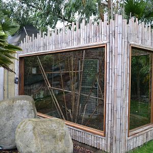 Old Bamboo lemur enclosure