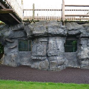 Sun bear Indoor housing
