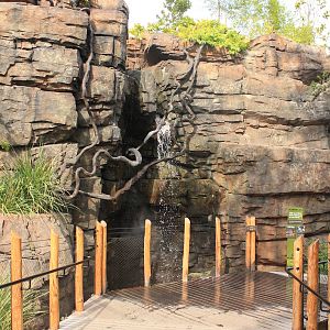Waterfall in African Forest